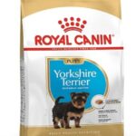 Alimento seco para Cachorros Yorkshire Terrier