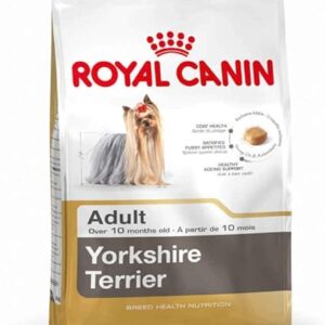 Pienso para Alargar la Vida de tu Perro Yorkshire Terrier