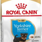 Alimento seco para Cachorros Yorkshire Terrier