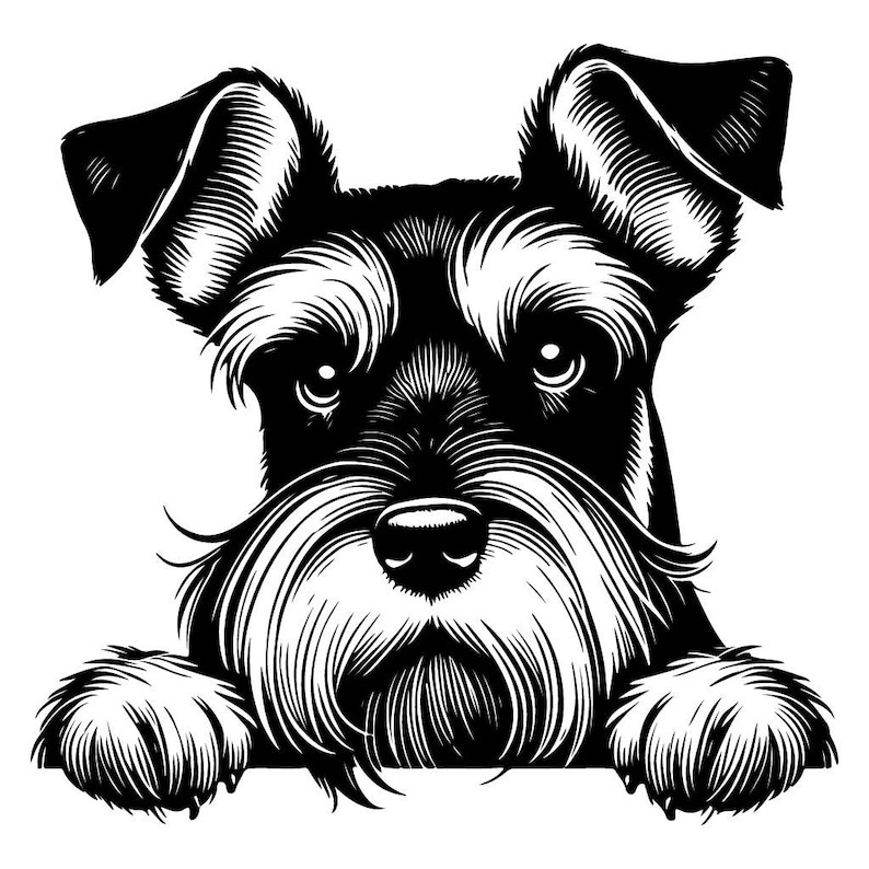 Schnauzer