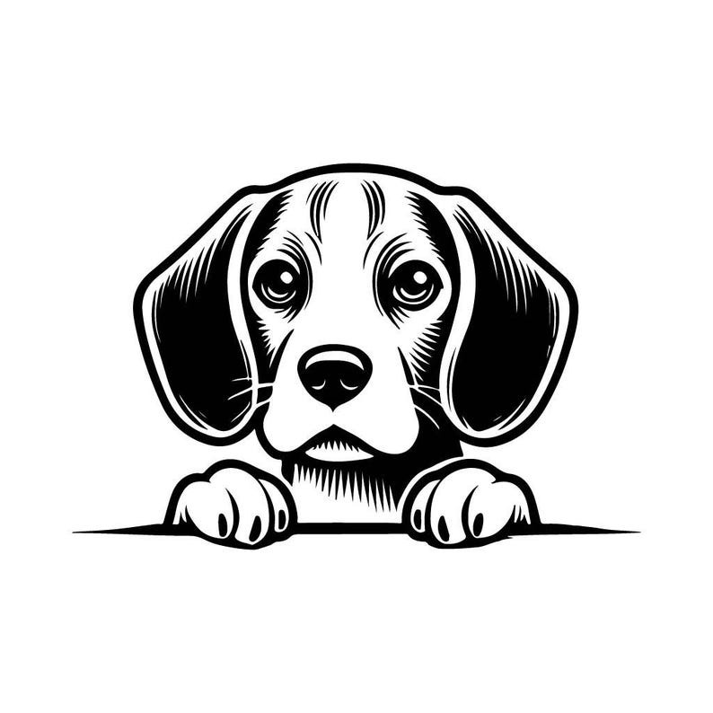 Beagle